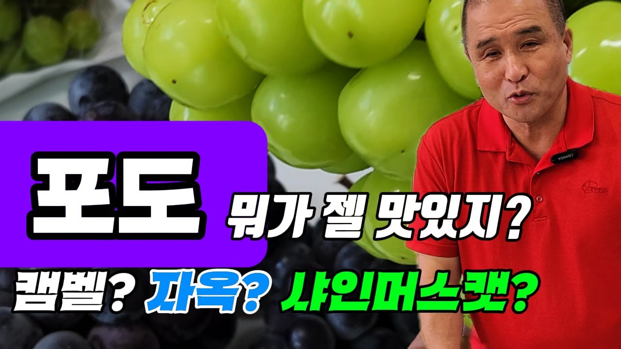 캠벨-거봉-샤인머스캣 