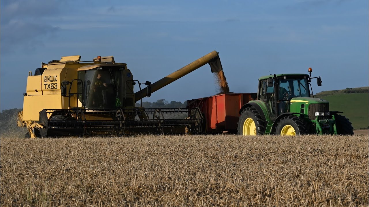 Harvest 2024 - Combining Wheat with New Holland TX63 and Case IH & John Deere Carting