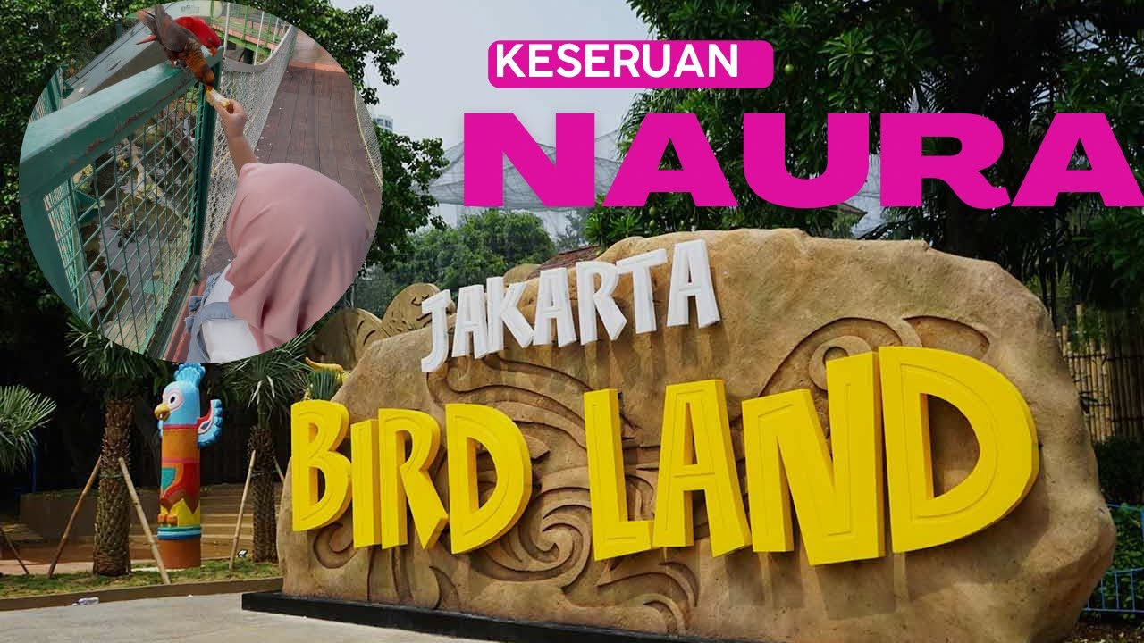Melihat bebagai macam  burung | JAKARTA BIRDLAND ANCOL 2026