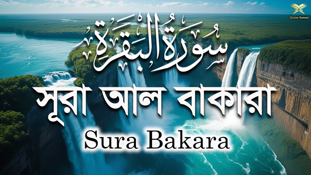 মানসিক  প্রশান্তির জন্য জীবনে উন্নতি লাভের জন্য ‍প্রতিদিন সূরা বাকারা। Sura bakara by Alaa Aqel