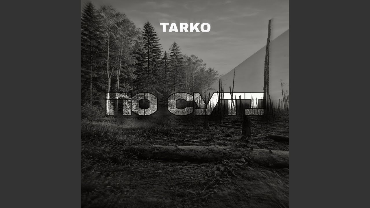 По суті