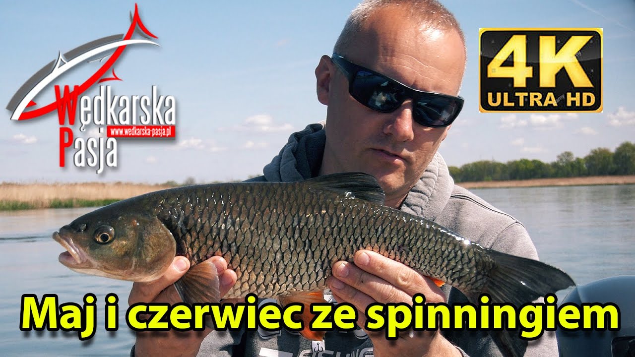 Maj i czerwiec ze spinningiem odc.157 | #wędkarstwo spinningowe