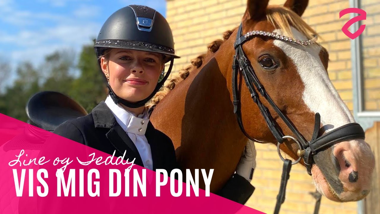 🦄 Vis mig din pony: Line og Teddy 🦄
