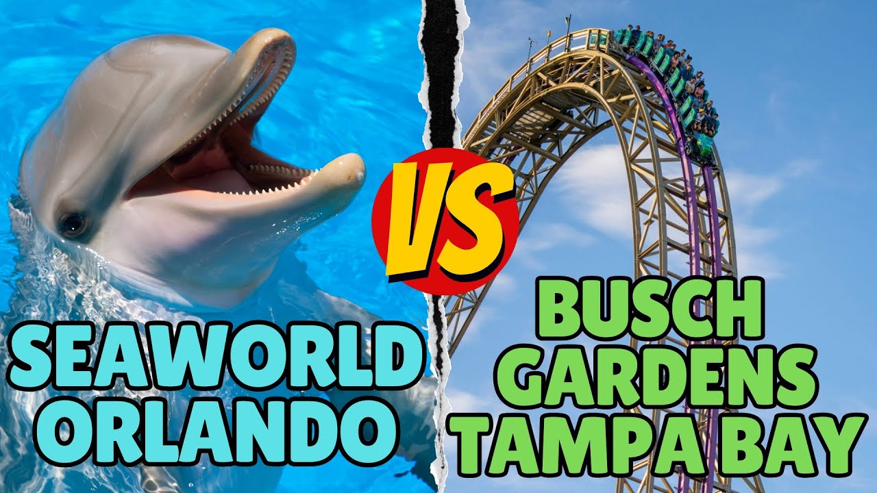 SeaWorld Orlando vs Busch Gardens Tampa: What You NEED to Know Before You Go