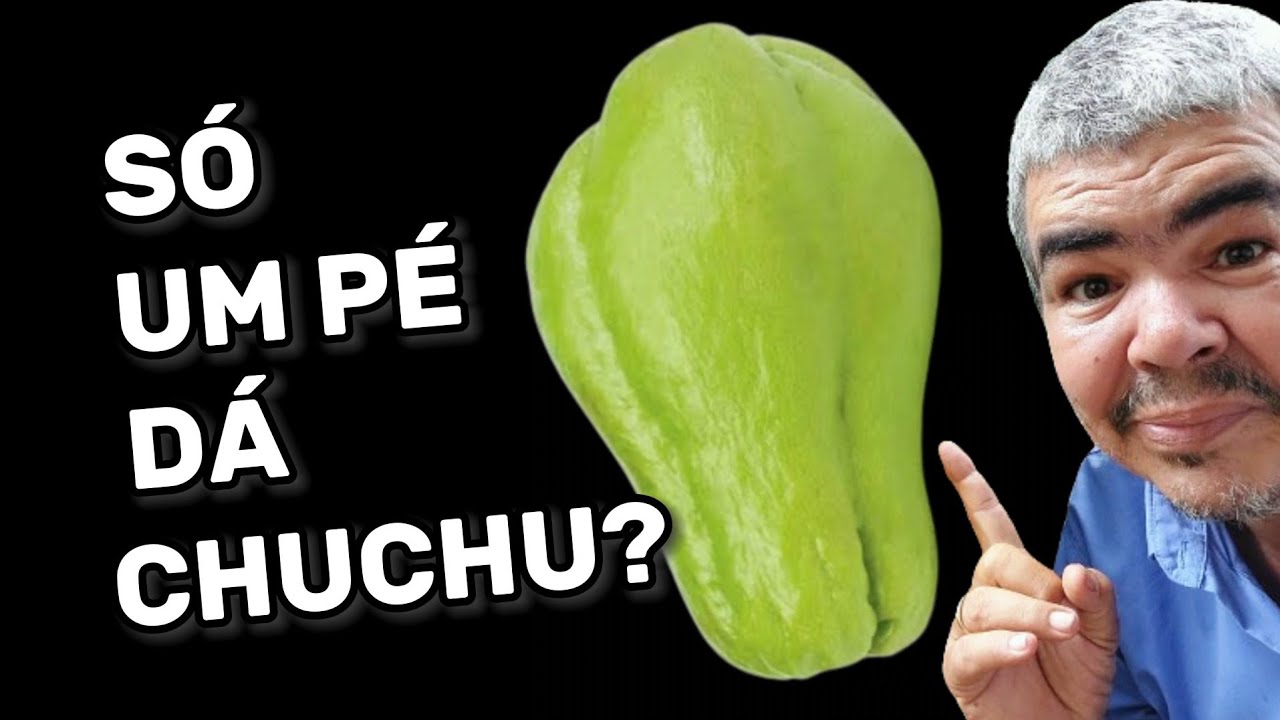 Como plantar Chuchu da maneira correta