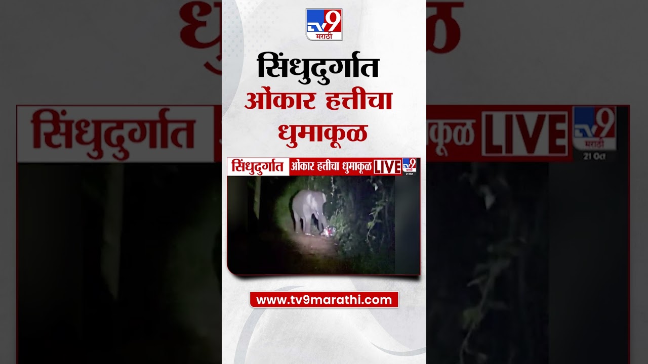 Sindhudurg मध्ये ओंकार हत्तीचा धुमाकूळ, गाडी पायाखाली चिरडली