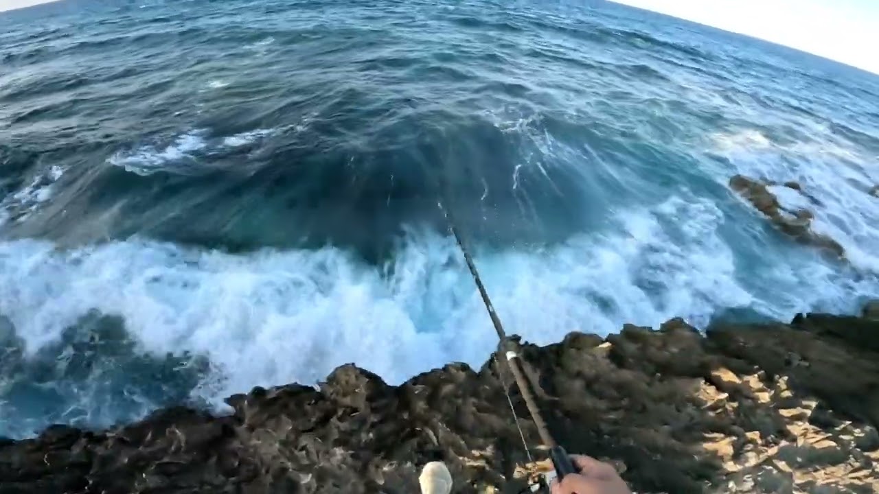 Shore cast and catch....
