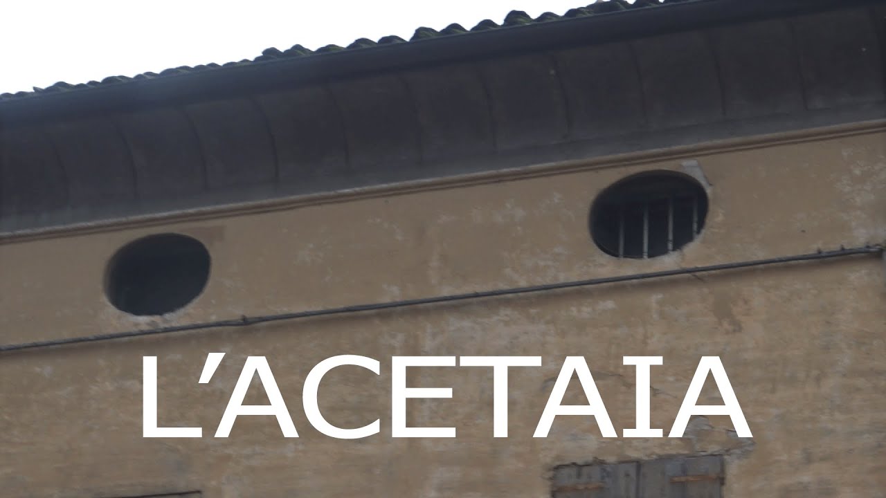 Aceto balsamico fatto in casa DIY #5 - L'acetaia, habitat del balsamico.