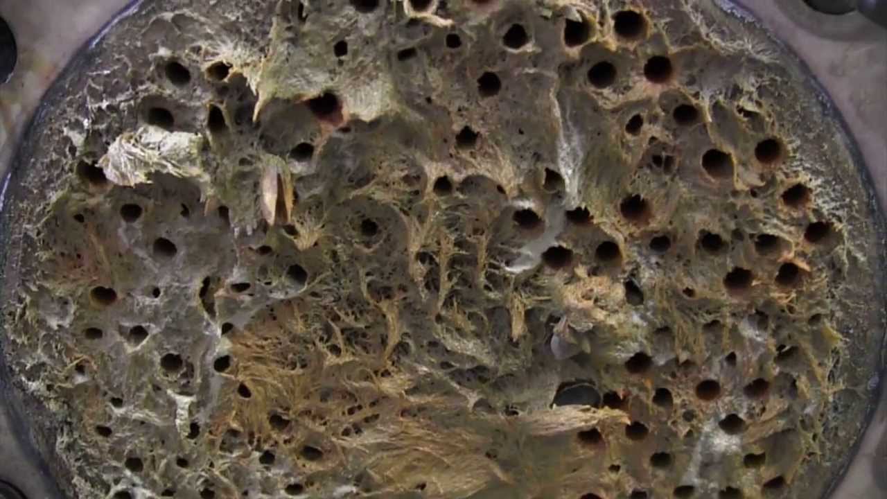 Демонстрация работы динамического очистителя от накипи &ndash; очистка морского теплообменника от накипи