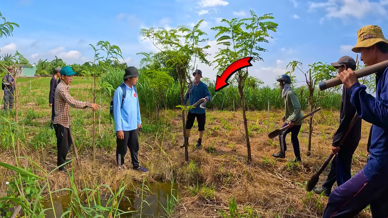 Một người nhìn thấy con Rắn lớn, rủ 9 người cùng nhau đi tìm | TGSB #719