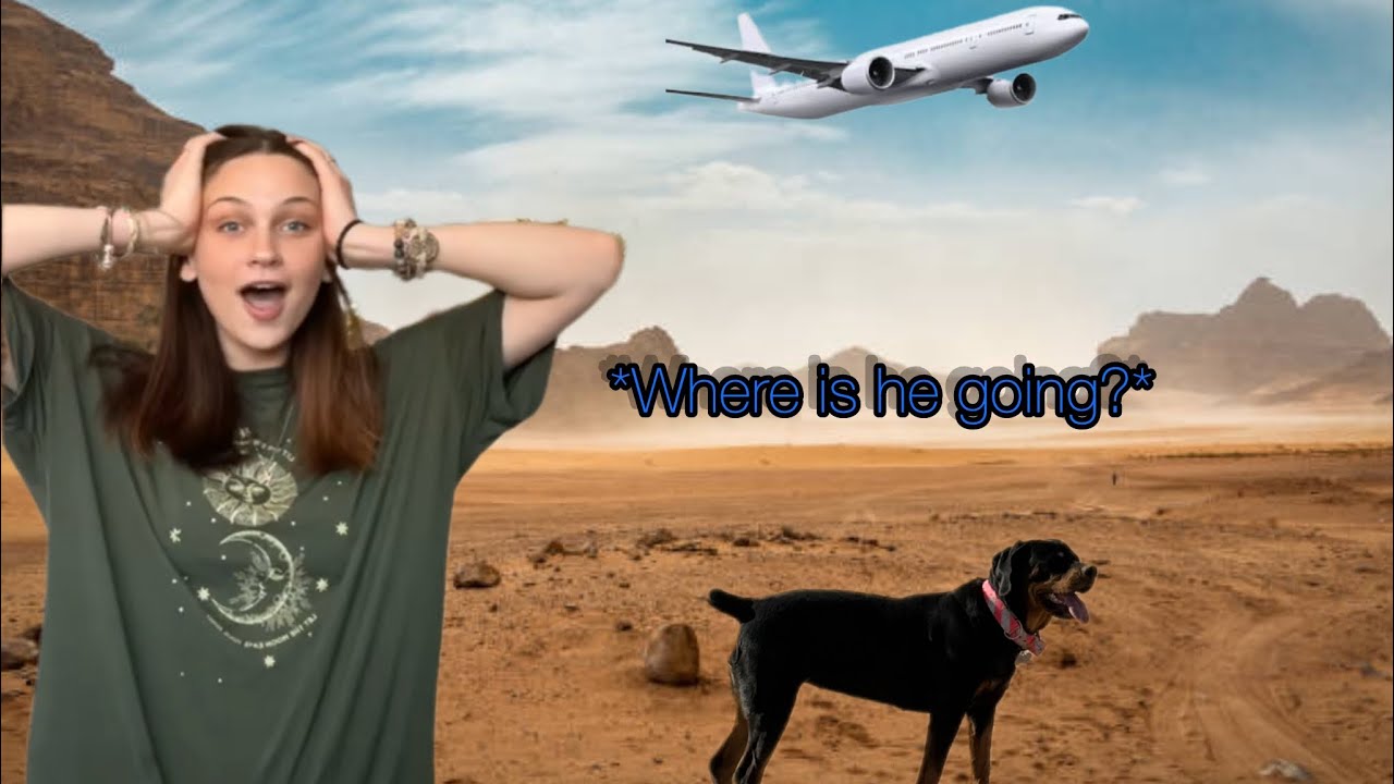 My first time on a plane!