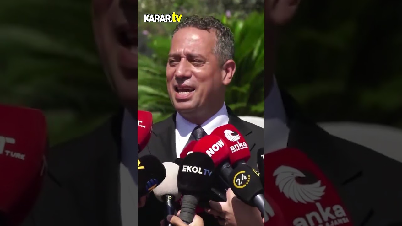 Ali Mahir Başarır: 