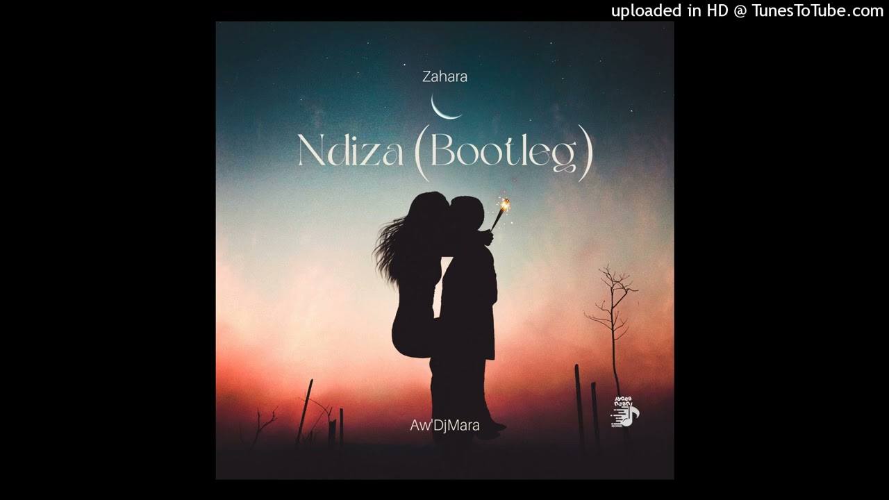 Ndiza (Aw'DjMara Bootleg)