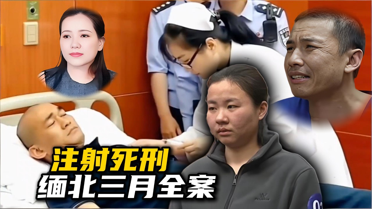 【三月深度汇总】跨国追踪：缅北诈骗头目的陨落与底层诈骗真实套路全解析