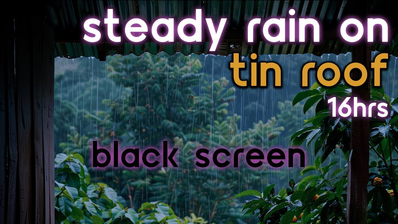 [Black Screen] Steady Rain on Tin Roof No Thunder | Rain Ambience | Rain Sounds for Sleeping