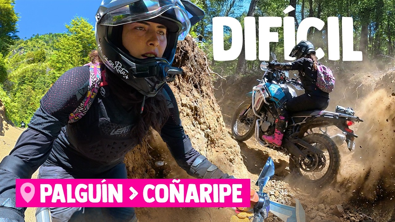 OFFROAD entre Zanjas, Cuestas y Araucarias: Palguín - Coñaripe 🔥 Cambio de Piñón y Aceite Motul  #15