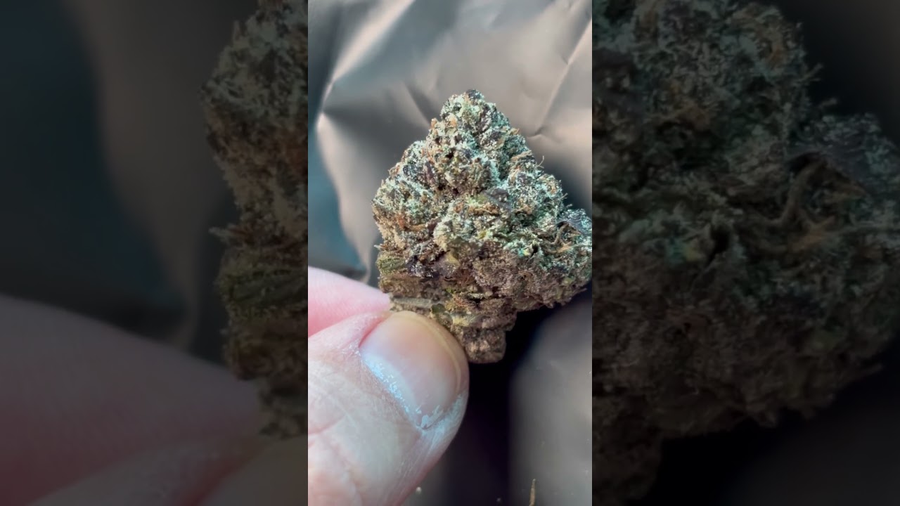 This lemon cherry gelato thca looks FIRE!! #thcareview #unboxing #weed #hugh
