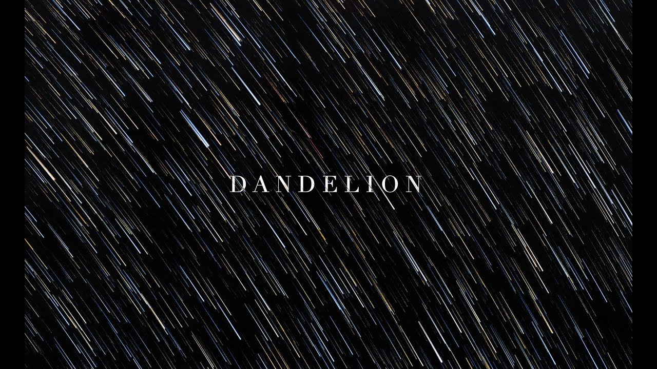 Joachim Heinrich - Dandelion