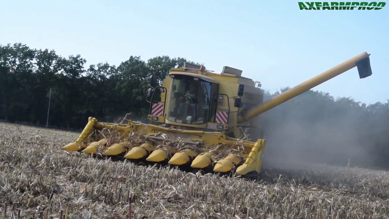 Moisson de maïs - New Holland TX 62 - Herens