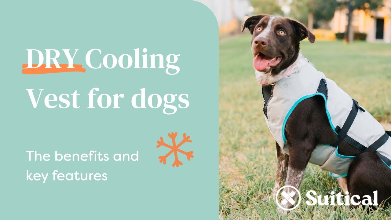 DRY&reg; Cooling Vest - Suitical