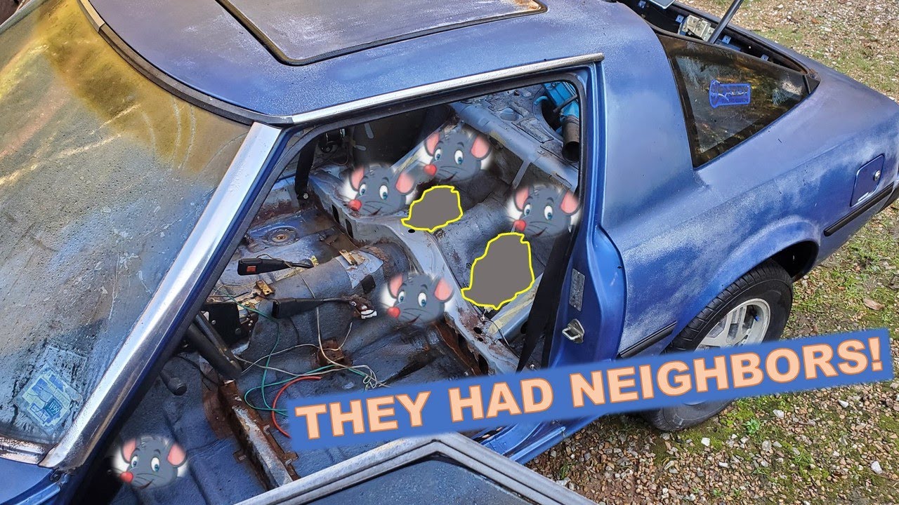 Я нашёл мышиный особняк! — Снятие и чистка салона автомобиля Rescue '79 Daytona Blue RX7