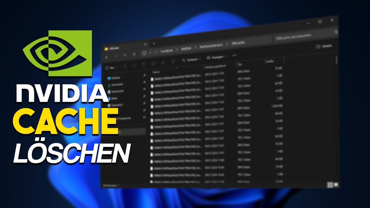 NVIDIA Cache LEEREN & FPS BOOSTEN! (2025)