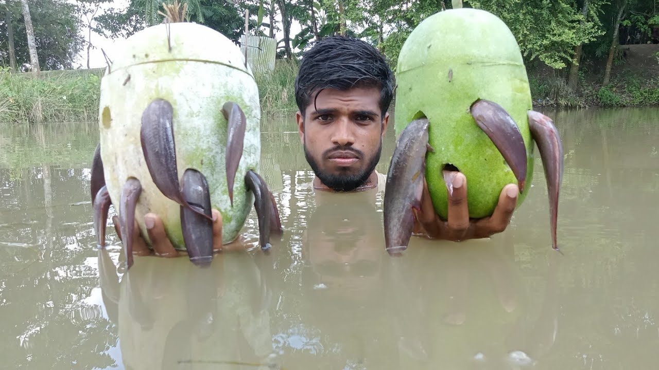Really amazing new fishing video with watermelon trap in village pound small fish catching