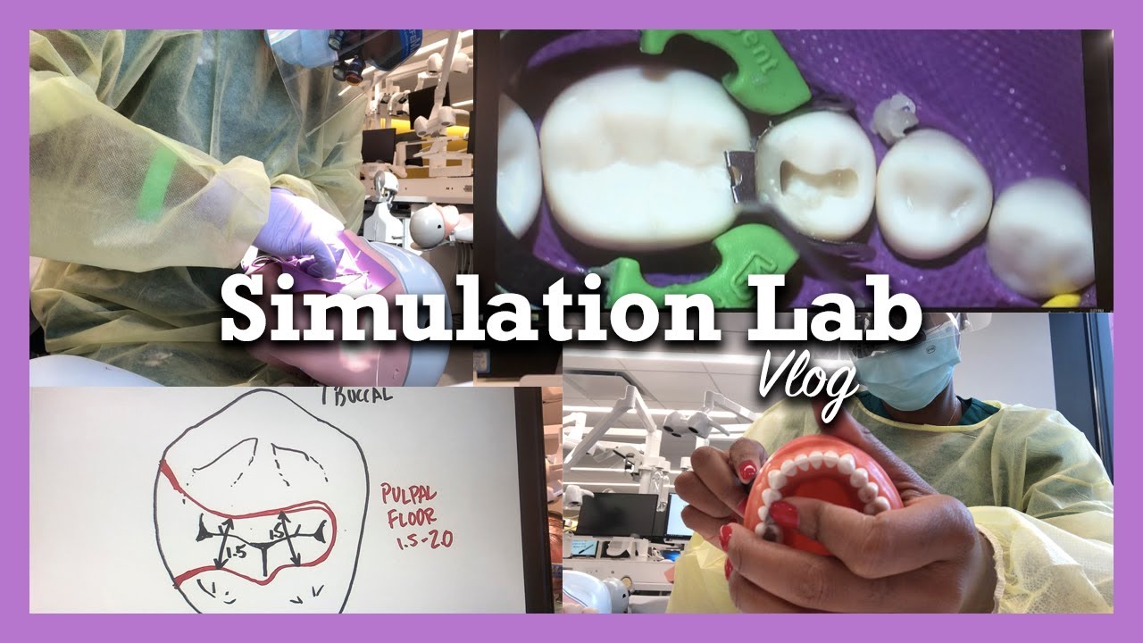 Dental School Vlog: Sim Lab | Dolly D.M.D.