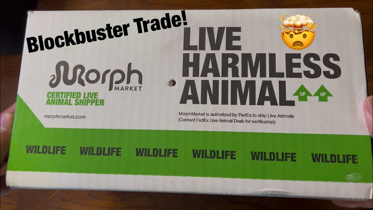 We shipped $22,000 worth of snakes through Morph Market Shipping!