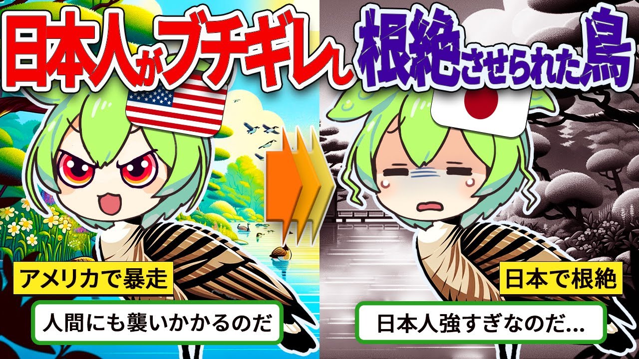 アメリカで大暴走していた超迷惑な鳥が日本人をブチギレさせた結果がヤバすぎた【ずんだもん＆ゆっくり解説】