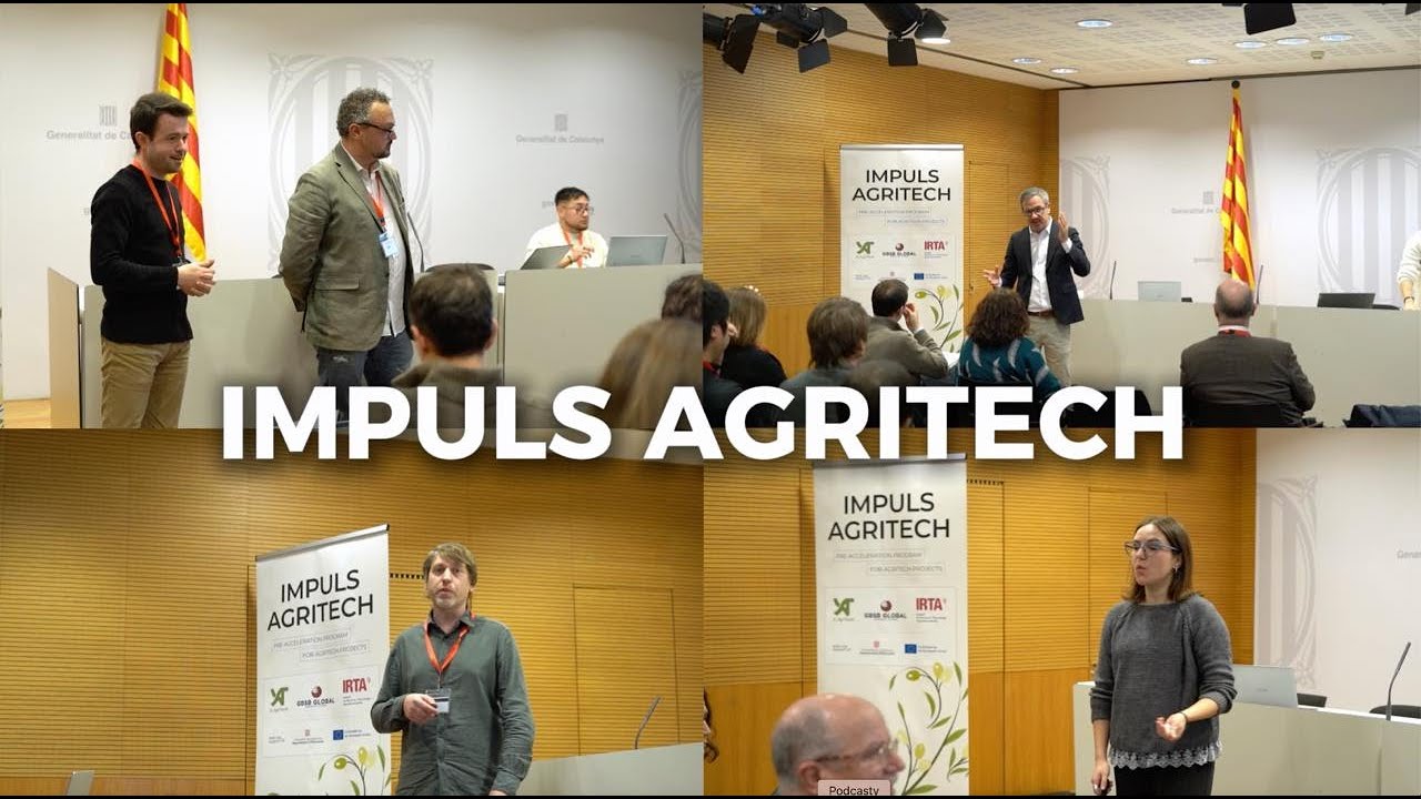 Impuls Agritech 2025: Как мы превращаем исследования в области агротехнологий в стартапы, привлек...