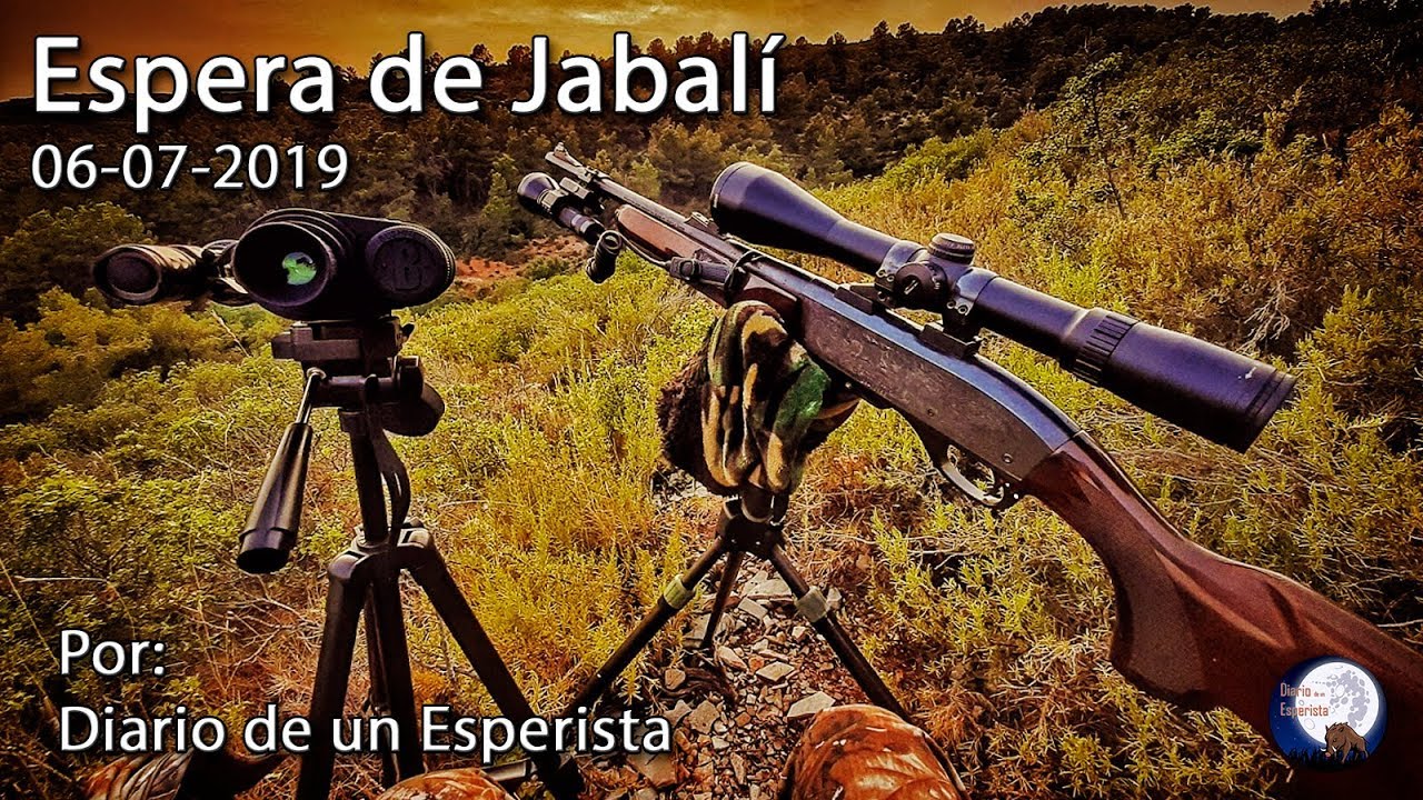 Espera de Jabalí 06-07-2019. Los fantasmas, fantasmas son. Caza