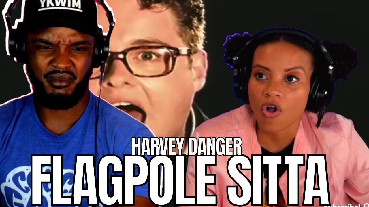 WHAT DOES IT MEAN?! 🎵 Harvey Danger - 