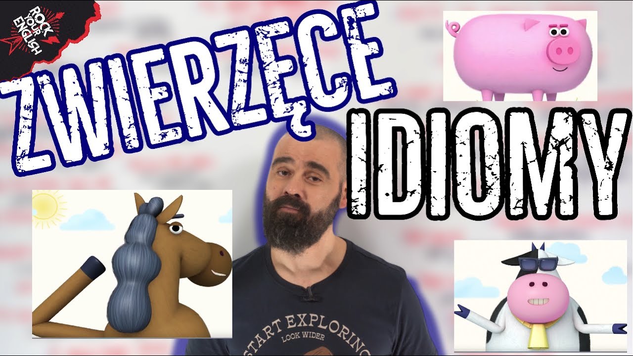 Zwierzęce IDIOMY | ROCK YOUR ENGLISH #210