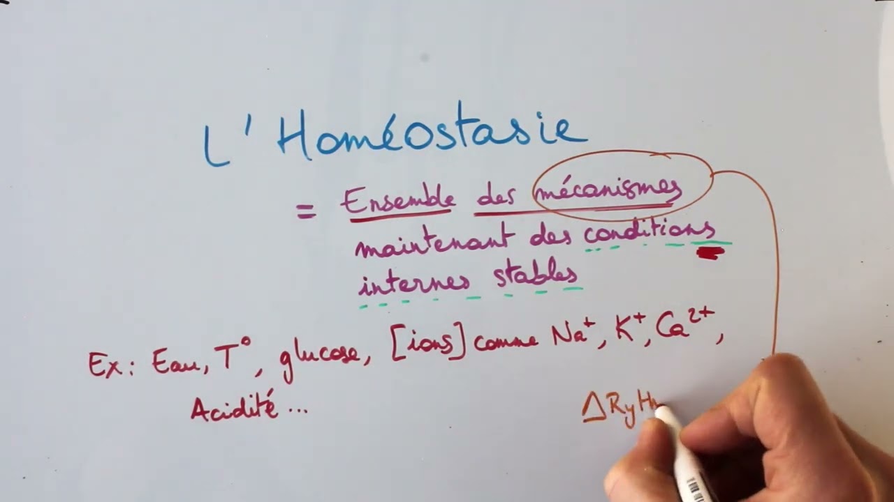 Homéostasie