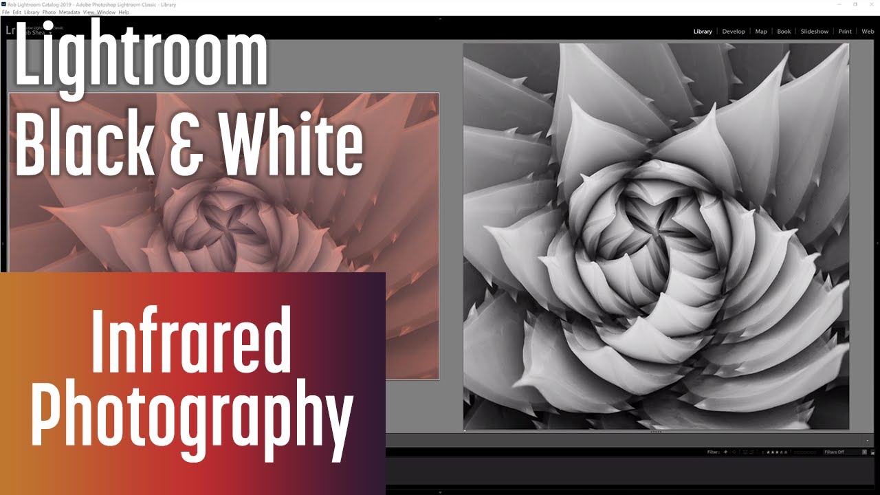 Editing Infrared to B&W with Lightroom