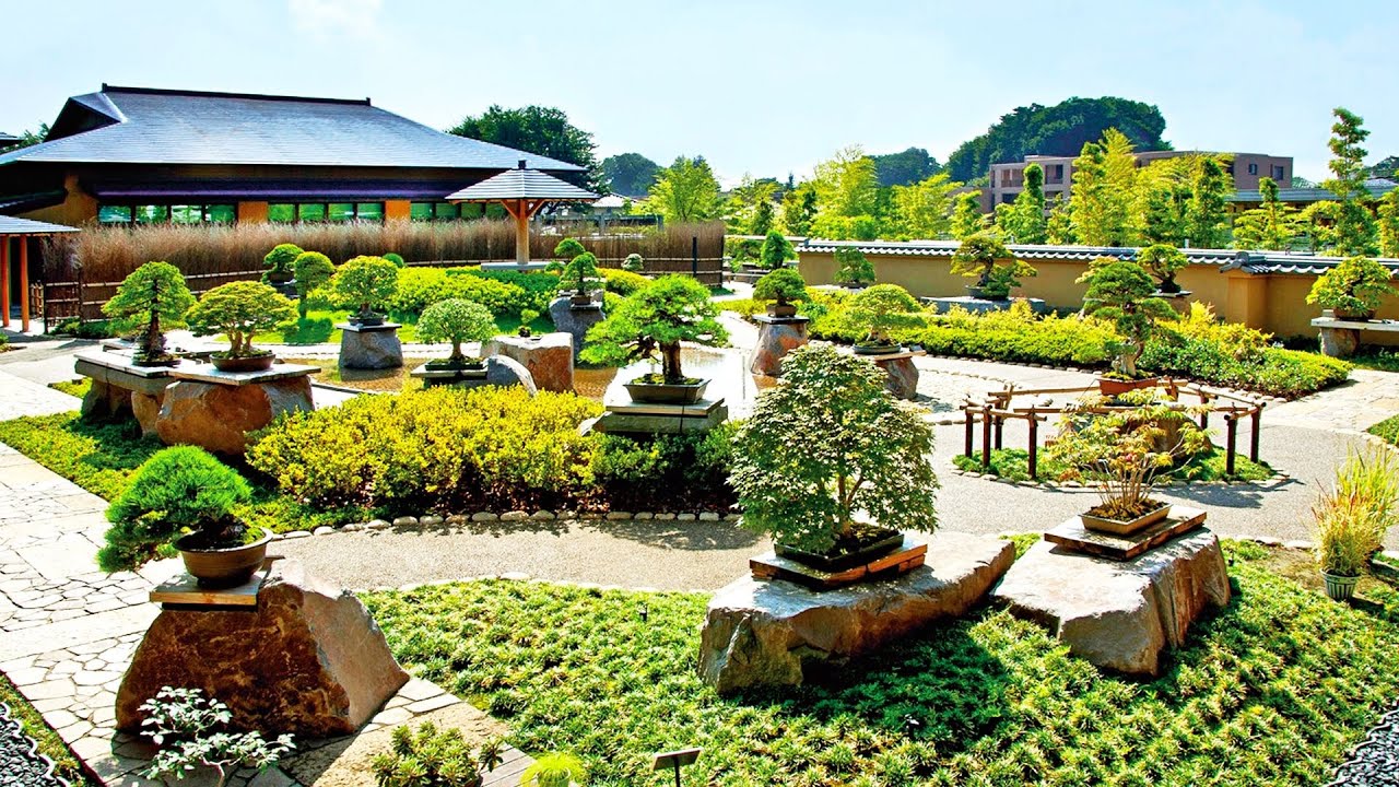 MESMERIZING! BONSAI GARDEN DESIGN IDEAS | BEST JAPANESE ZEN OUTDOOR SPACE WITH BONSAI TREE GARDEN