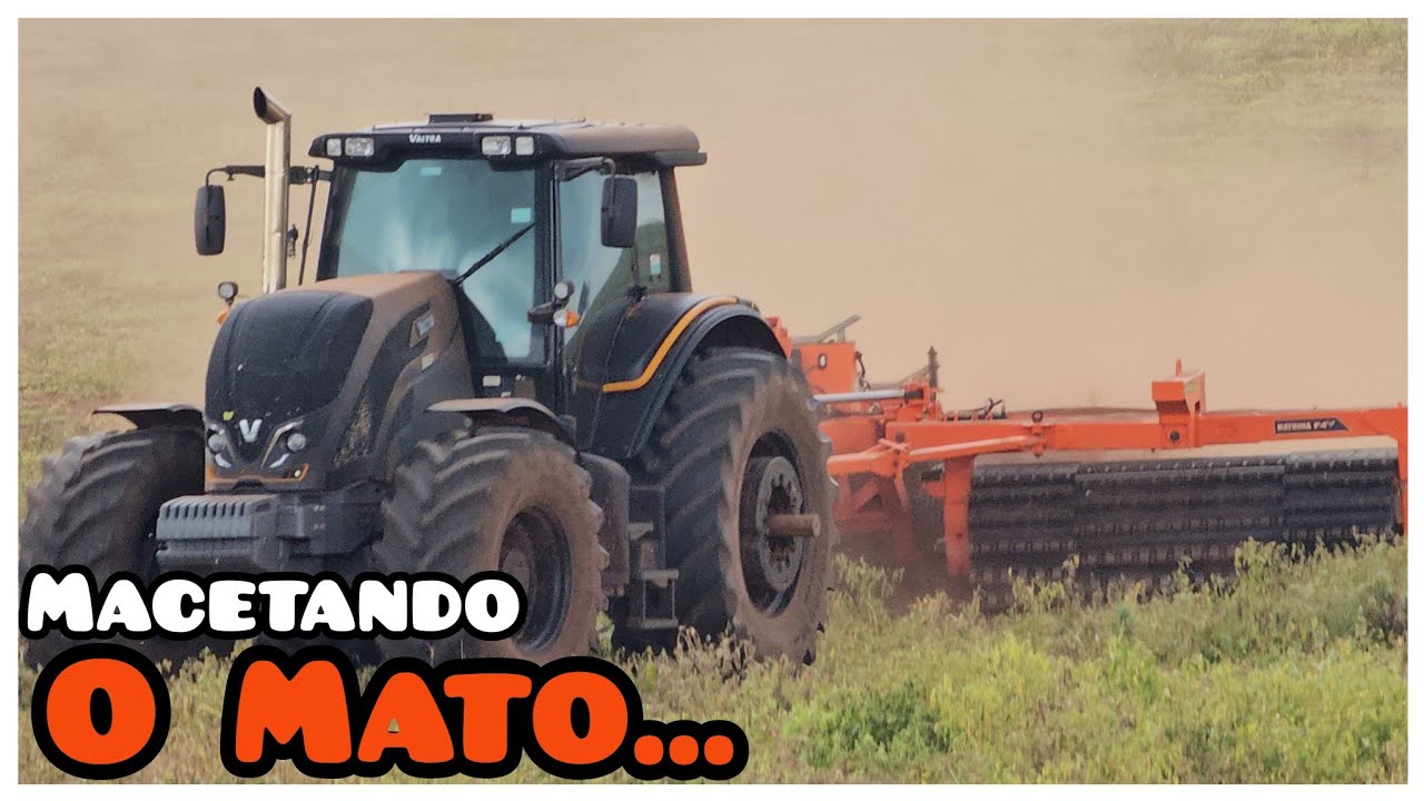 PASSAMOS O ROLO FACA NA NOSSA ROÇA PARA A SEGUNDA ETAPA DE PLANTIO