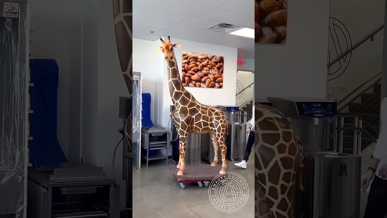 Chocolate Giraffe 🦒 This 8:3ft tall 100% chocolate sculpture is my biggest creation yet! #chocolate