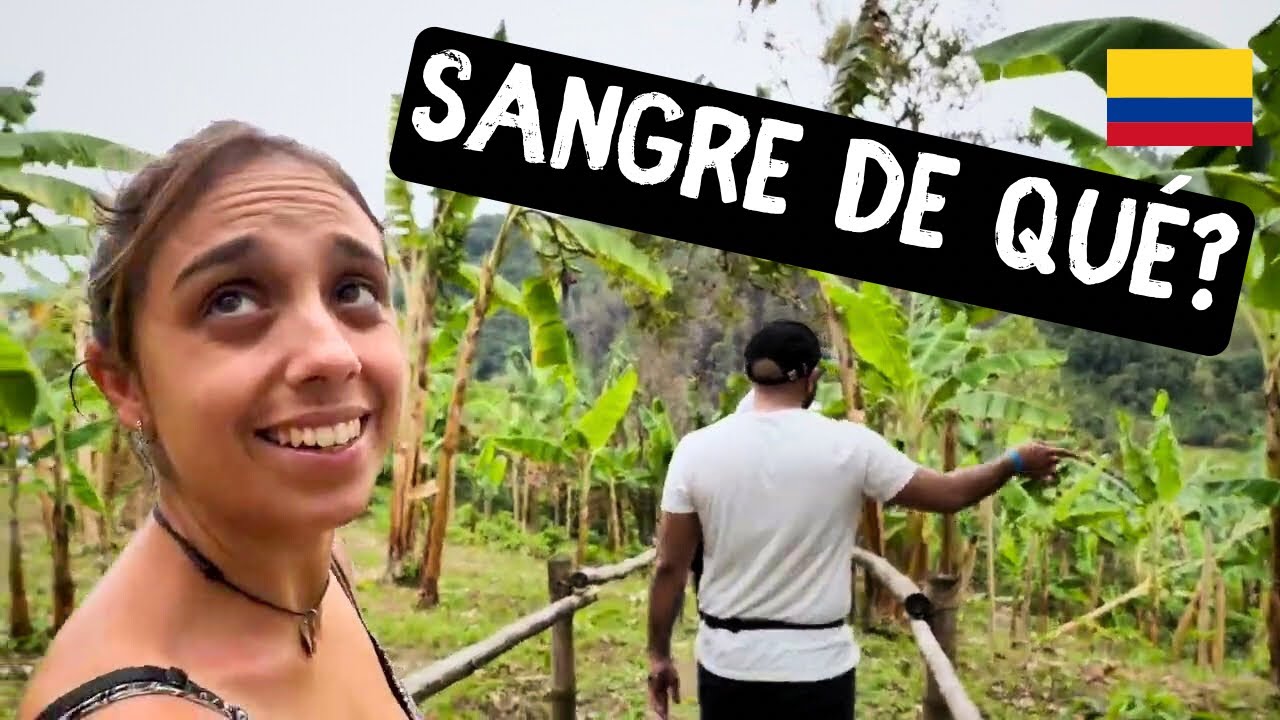 🔥De COLOMBIA a ESPAÑA ☕️ El mejor CAFÉ del MUNDO? Los SECRETOS detrás de la producción de Café