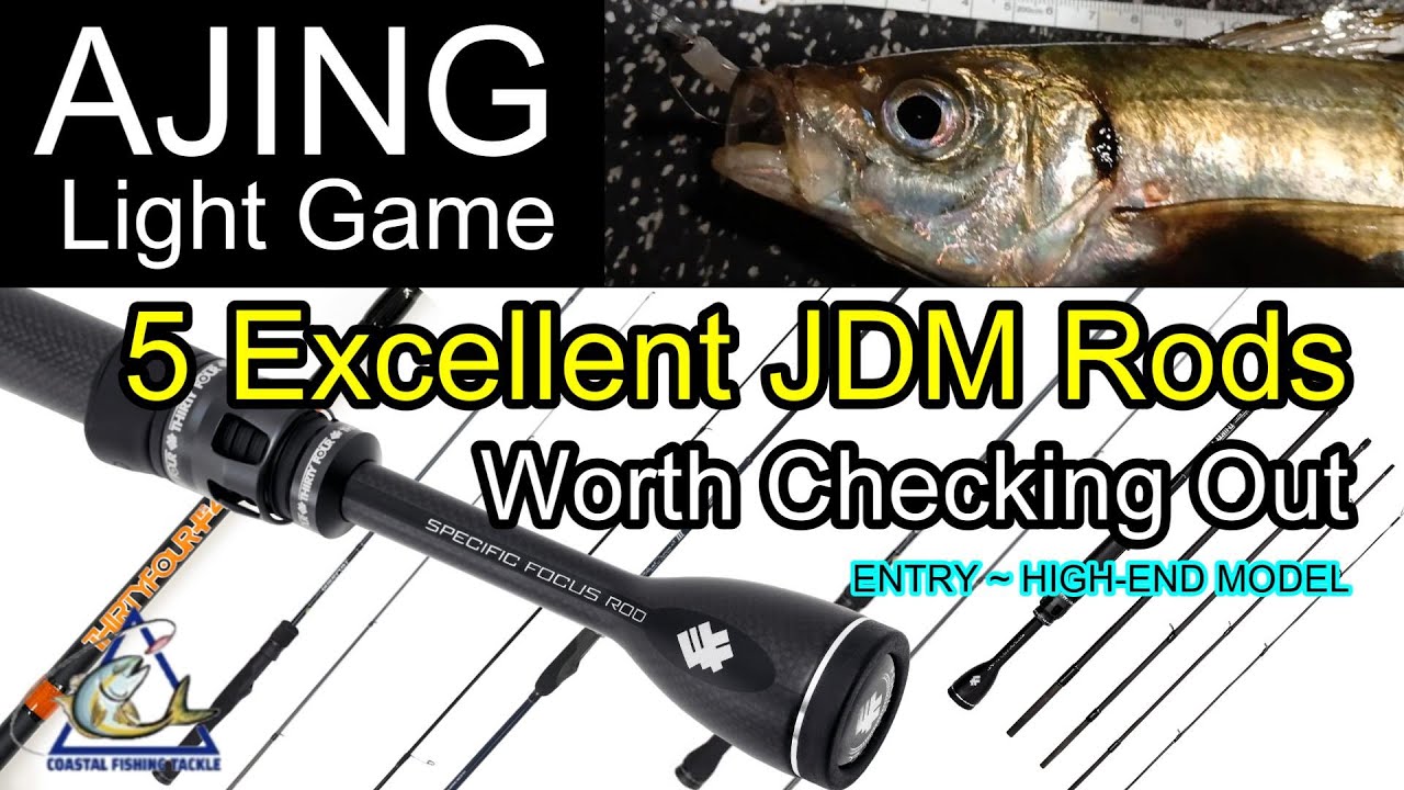 Excellent Ajing Rods Tested 5model　Which One Fits You?　Entry-Level to High-End