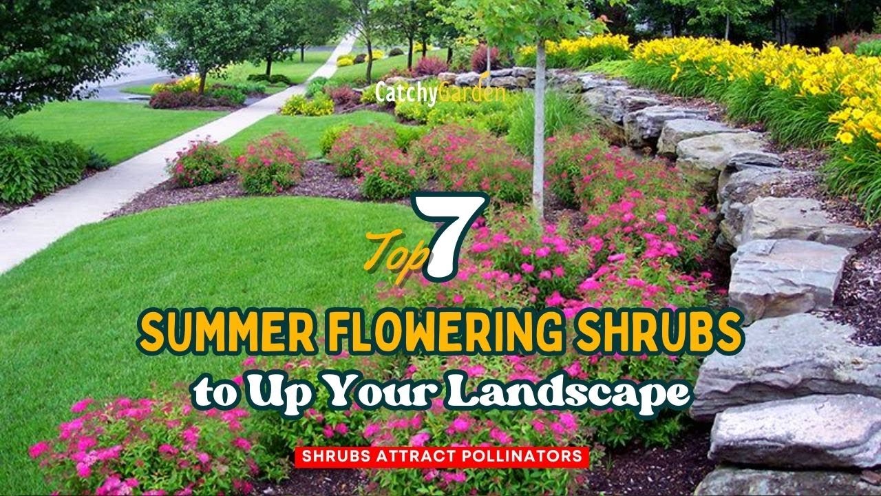 Top 7 Summer Flowering Shrubs to Up Your Landscape 🍃🏵️🌺 // Gardening Ideas