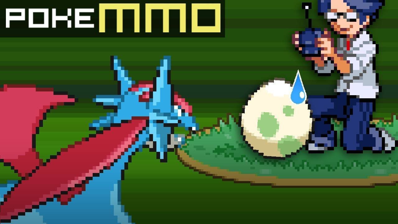 Инцидент с игроком без покемонов | PokeMMO