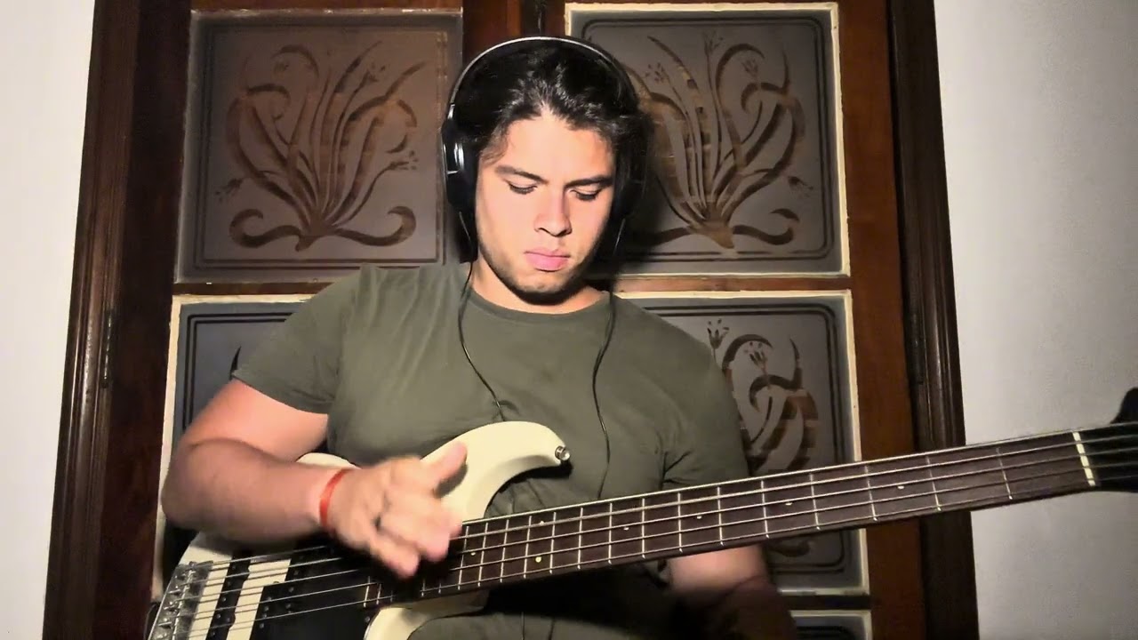 The Pot - Tool (One take bass cover)