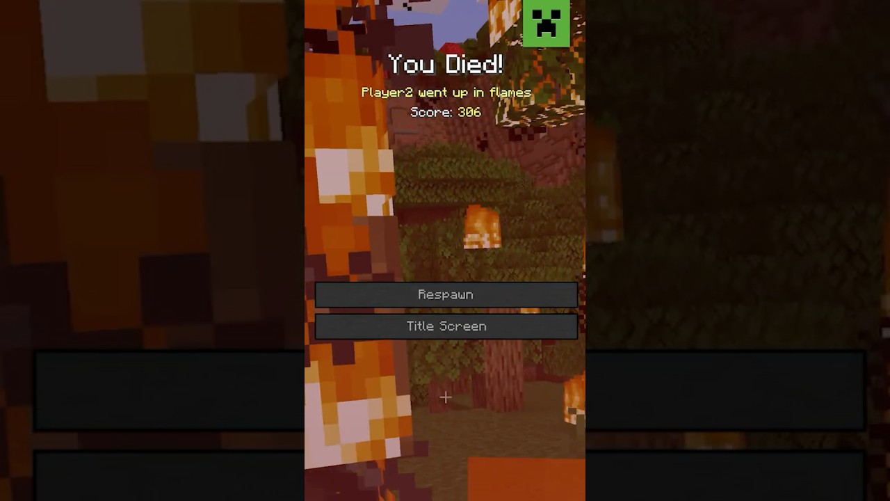 MINECRAFT DEATH MESSAGE SONG