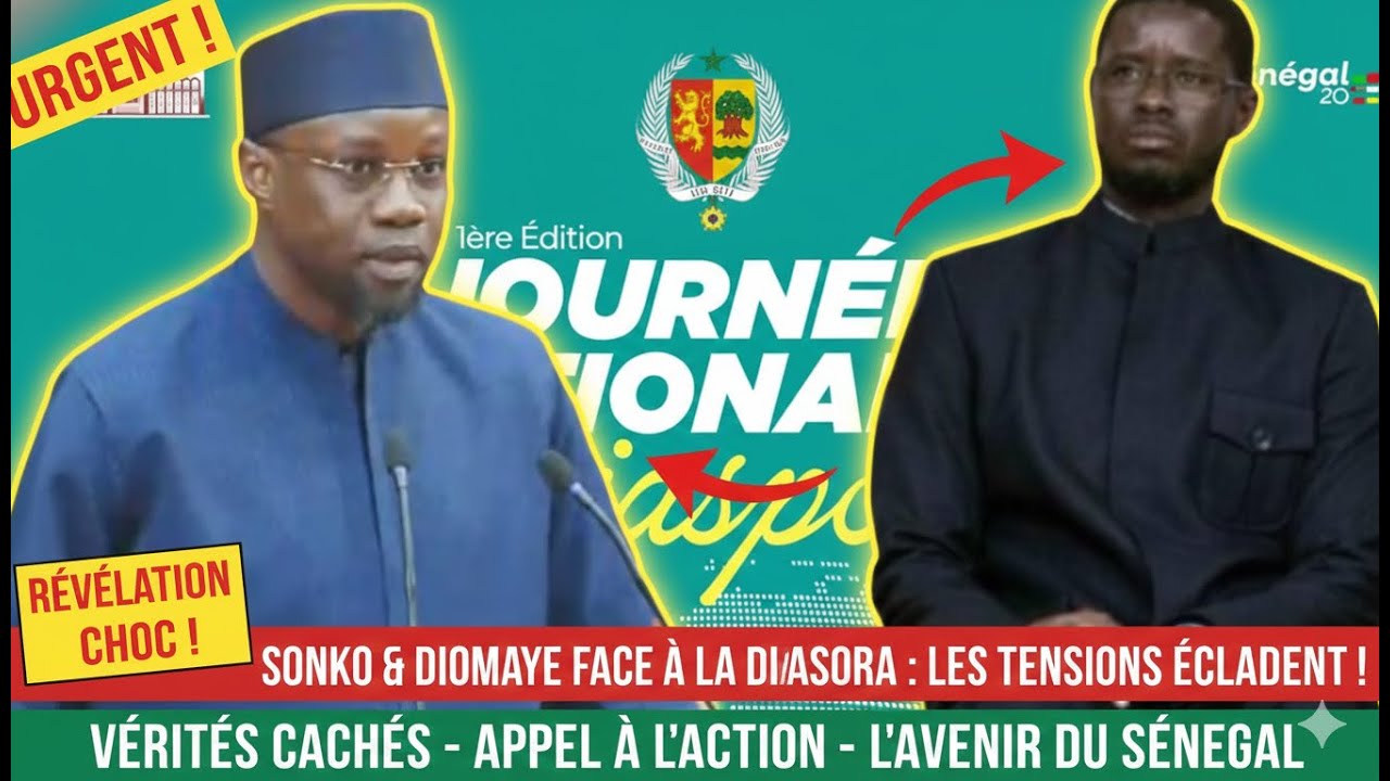 Direct CICAD: 1ere &eacute;dition journ&eacute;e nationale de la Diaspora