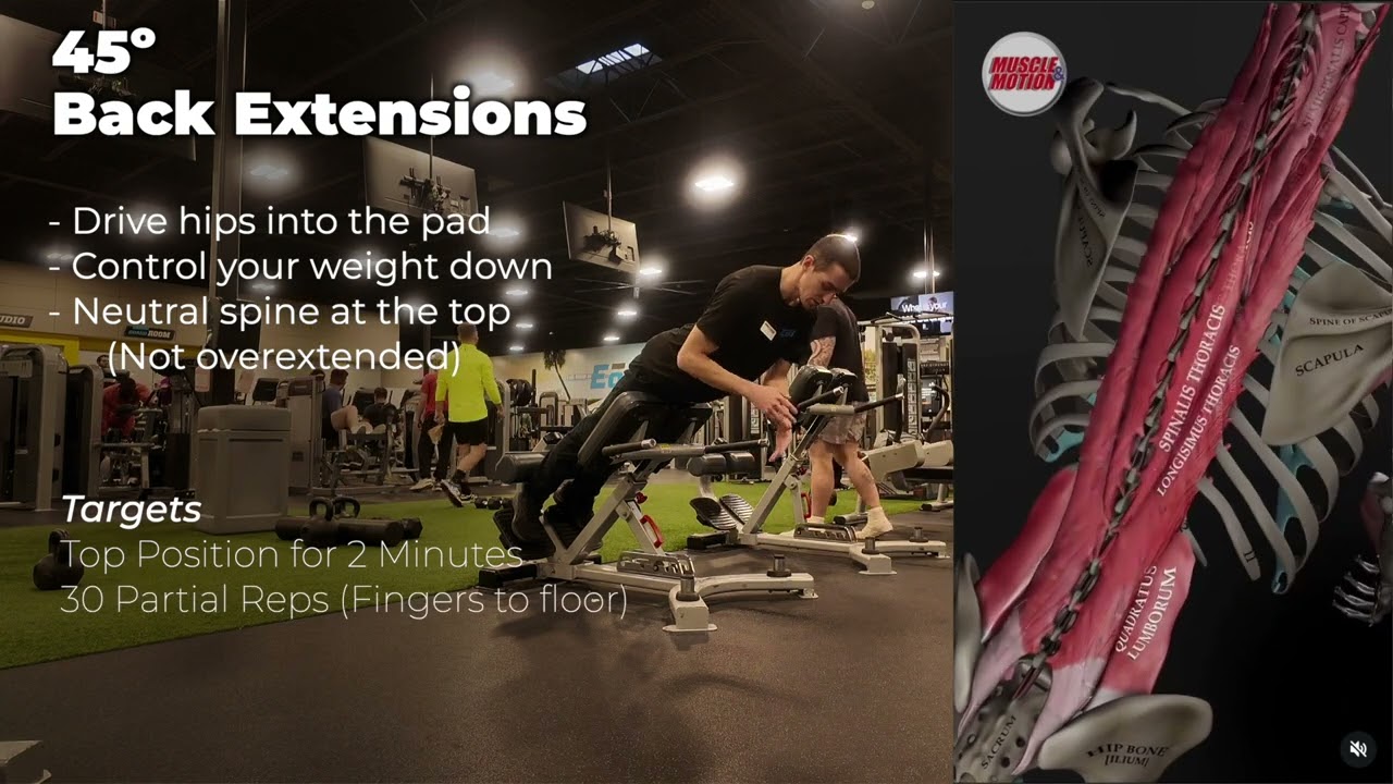 45º Back Extension