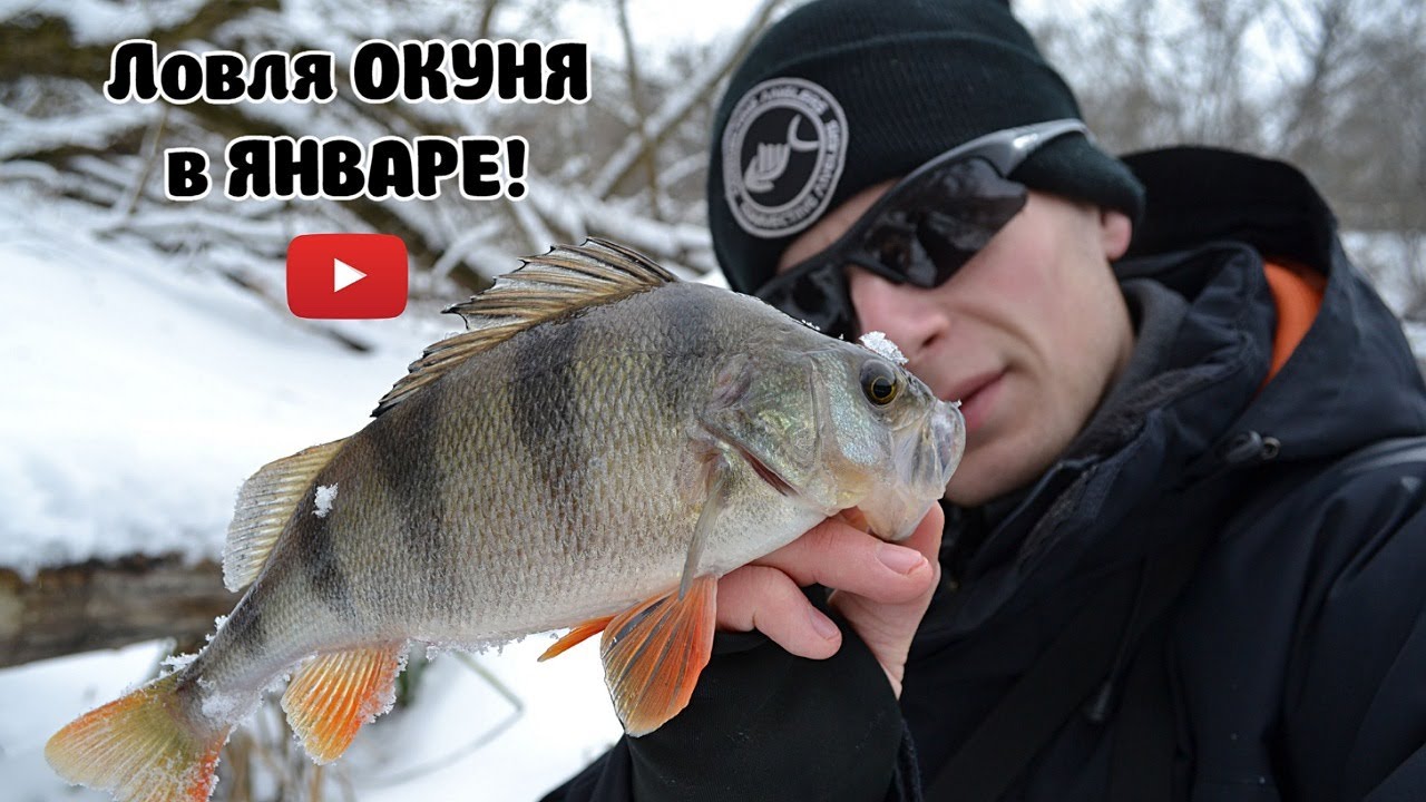 Ловля ОКУНЯ в ЯНВАРЕ! НАБОМБИЛ окуней С РУСЛА! Приманки, проводки, техника ловли!
