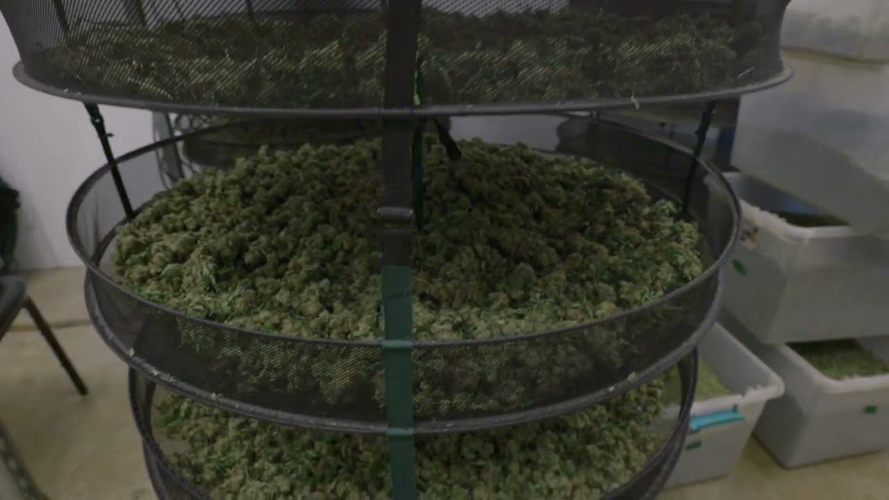 Cannatech Facility Tour