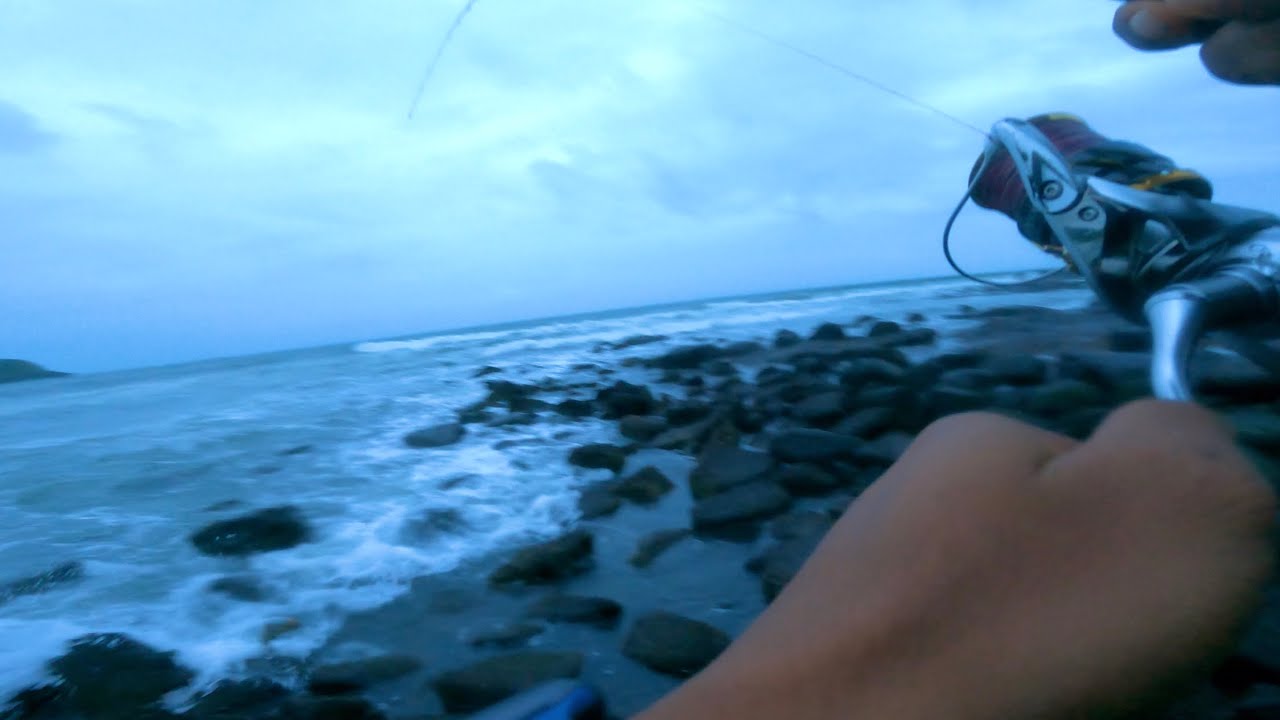 Fishing from an amazing spot in Ratnagiri || catching grouper fish on lure Coastal fishing